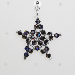 Pierces - Silver brass - Earrings Corvus - Pierces - Silver brass - Laiton argenté